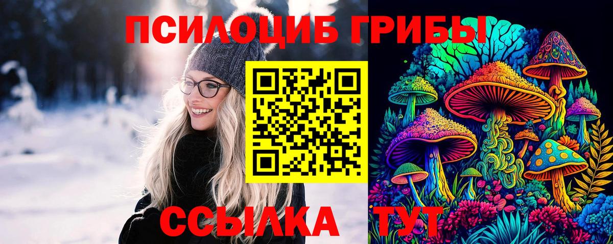 Нижний Новгород  магазин продажи наркотиков  Вход с VPN  Псилоцибиновые грибы прущие грибы 